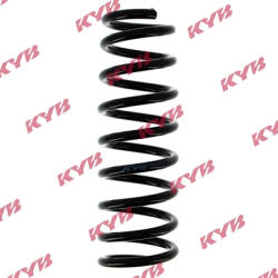 KYB Arc suspensie spate KYB RA6211
