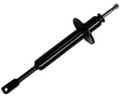 Asam Automotive Amortizor fata ASAM 70466