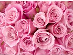 MÉDIA Media Vászonfestmény, Rózsaszín rózsák, 105 x 70 cm (TABIMG1854)