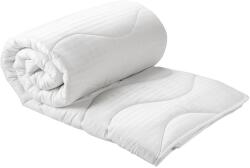 Green Future Hotel Line Paplan, Steppelt mikroszál, 220x200cm, 250g/mp, Közepesen meleg