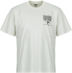 Dickies Tricouri mânecă scurtă Bărbați LYNNDYL SS TEE EGRET Dickies Alb EU S