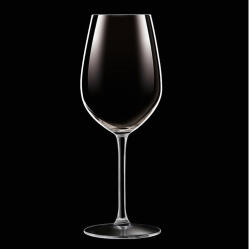 Chef & Sommelier C&S SEQUENCE FLUTE pezsgős pohár 24cl - 6db - Arc Chef & Sommelier