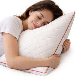 Strefa Spania Párna 70x80 Strefa Spania steppelt antiallergén puha cipzárral Pl (LINEAROSSO7080ss)