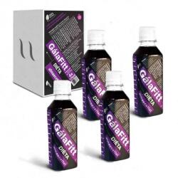 Formanek Vineg'art GálaFitt Diéta almaecettel (1 havi adag) 4x175ml - egeszsegbolt