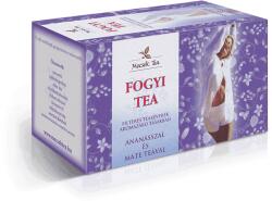 Mecsek Tea Mecsek Fogyi tea 20 x 1g