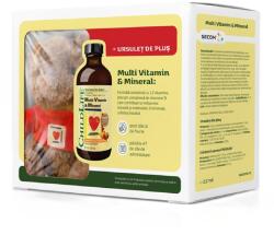 ChildLife Pachet Multivitamine si minerale pentru copii Childlife Essentials, 237 ml + ursulet de plus, Secom