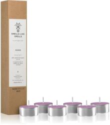 Smells Like Spells Norse Magic Mimir lumânare (relaxation/meditation) 6 buc