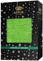Lotus Cleaning Deluxe Wash Sponge Green (19000271)