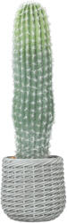 HOMCOM Cactus artificial 66 cm, plantă artificială decorativă cu ghiveci pentru decor interior, verde | Aosom Romania (83C-204V00GN)