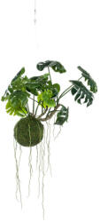  Élethű Monstera, Függő, Mohagömbbe ültetve, 60 cm (427083)