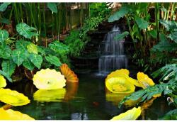 MÉDIA Natura1 vászonfestmény, 105 x 70 cm (TABIMG1968)