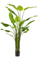  Élethű cserepes strelitzia műnövény (papagájvirág) extra magas 235 cm