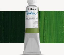 Lukas Berlin Vopsea cu ulei Sap Green 200 ml 1 buc (6650014)