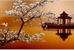 MÉDIA Media "Természet 12" vászonfestmény, 90 x 60 cm (TABIMG1578)