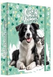 Junior Cutie pentru caiete A4 Jumbo MAX JUNIOR S9 - Cei mai buni prieteni pentru totdeauna