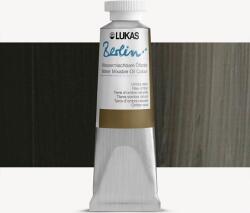 Lukas Berlin Vopsea cu ulei Raw Umber 200 ml 1 buc (6140014)