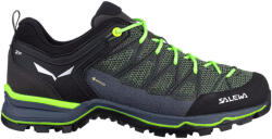 Salewa Încălțăminte outdoor pentru bărbați MS MTN Trainer Lite GTX Myrtle/Ombre Blue UK 11