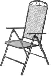 Fieldmann FDZN 5310 Acél Kerti Szék