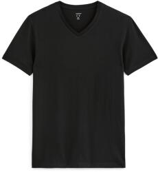 CELIO Neuniv (1061396)