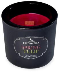  Szójagyertya Spring Tulip Fekete 170G (5905711530981)