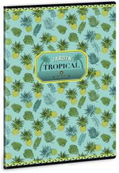 Ars Una Yellow pineapple A/4 extra kapcsos füzet-sima (93808699)