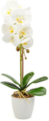  GLOBIZ Mesterséges orchidea 48cm - fehér (11901B)