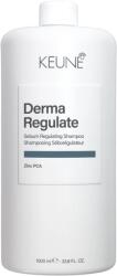 Keune Sampon echilibrant pentru scalp gras Keune Care Derma Regulate Shampoo, 1000 ml