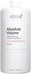 Keune Sampon pentru volum si textura Keune Care Absolute Volume Shampoo, 1000 ml