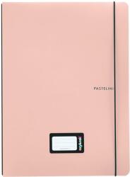PAPIRNY Caiet A5, dictando, piersica, coperta plastic + elastic (8.0-969)