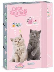 Ars Una A5 füzetbox Tea Party cicás (50865321)