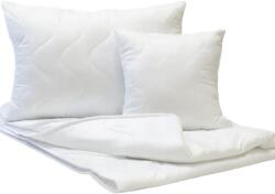 Wagner Home Mikroszálas takaró és párna szett, 4 évszakos (WH-STEPPELT-PAPLAN-4-EVSZAKOS)