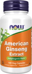 NOW Extract de Ginseng American