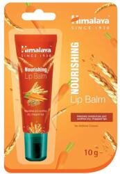Himalaya Balsam de buze hrănitor - 10g