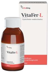 Vitaking VitaFer-L Liposomal Iron Supplement (120 ml, Pineapple)