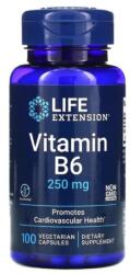 Life Extension Vitamina B6 - 250mg · 100 capsule