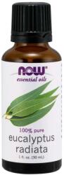 NOW, NOW Foods NOW - Ulei de Eucalipt Radiata - 30 ml