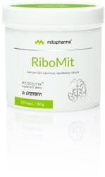 Dr. Enzmann MSE RiboMit® (120 caps)