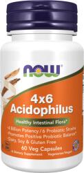 NOW Acidophilus 4X6 - 60 capsule