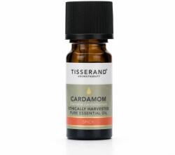 Tisserand Cardamom Ethically Harvested Oil (30 ml / 1 fl. oz. )