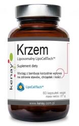 Kenay LipoCellTech liposomal silicon (60 caps)