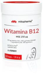 Dr. Enzmann MSE Vitamin B12 MSE, 250 mcg (120 caps)