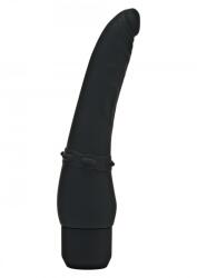  CLASSIC SMOOTH VIBRATOR-7function - sex-shop