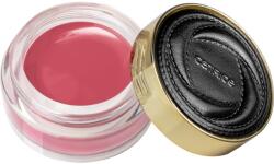 Catrice VALENTINE WHO? multifunkcionális smink ajkakra és arcra árnyalat C01 Warrior Queen 4.8 g