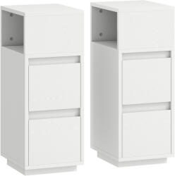 HOMCOM Set de 2 Noptiere Înalte și Subțiri pentru Dormitor cu 2 Sertare și Raft Deschis, Noptiere Moderne Economisitoare de Spațiu, Măsuțe pentru Divan, Sufragerie și Dormitor, 25x30x65 cm, Alb | Aosom Roman