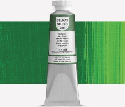 Lukas Studio Vopsea cu ulei Sap Green 37 ml 1 buc (<![CDATA[3650009]]>)