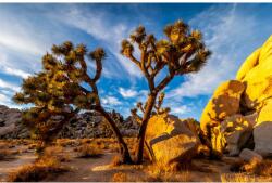 MÉDIA Vászonkép, 75 x 50 cm, Természet 10 (TABIMG1175)