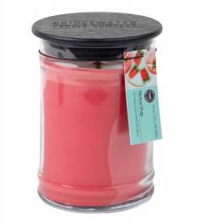 Bridgewater Candle Melon Pop illatgyertya 524g Bridgewater Candle (655894025297)