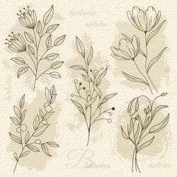 POL-MAK Virág Beige Illustration szalvéta 20 db-os 33x33 cm PKK057333 (PKK057333)