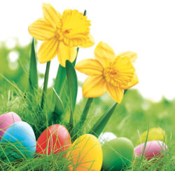 POL-MAK Húsvét Daffodils szalvéta 20 db-os 33x33 cm PKK030145 (PKK030145)