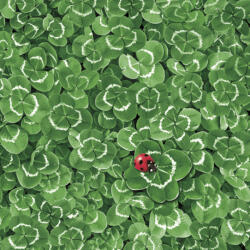 POL-MAK Lóhere Green szalvéta 20 db-os 33x33 cm PKK045743 (PKK045743)